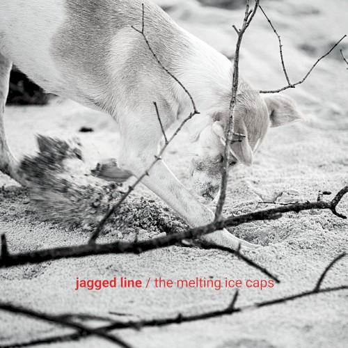 Jagged Line