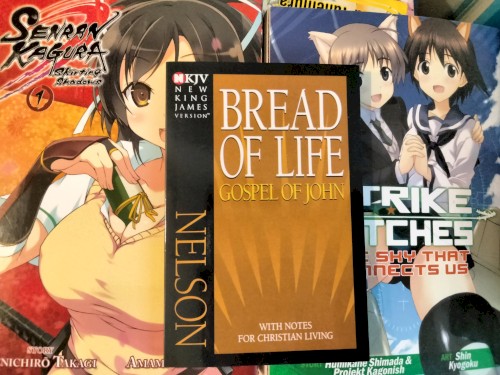 Archive.org Is My Favorite Place To Pirate Books (No But Seriously, It Was So Dumb Of Them To Give Infinite Book Access As It Ruins Their Entire Argument), Imagine If Archive Got Nuked, We Would Lose Like Every Shitnoise Album (Ignore VK Labels Those Hardly Count As Nearly Nobody Downloads From Them Or Even Knows They Exist / I Still Think Its Funny Esent Got Mad At Genetic Trance For Releasing One Of Their Albums, Er, "EPs" [I Think It Was Actually A "Mixtape"] On VK) / The Return Of A Pointless HNW Series (Wait, Every HNW Series Is Pointless) Where I Just Do Lazy 8 kbps Remixes Of My Other Walls With Uncropped Photos Of Stuff I Own As The Covers And Long Titles Of Rambling Thoughts / This Track Is Only As Long As It Is So It Can Be In That Discogs List But It Wont Be On Discogs Since Nobody Is Going To Add This And Okosan Is Banned (Also You Must Listen To This Whole Thing Or You're A Fake Himeko Fan) / The Slashes Do Not Denote Multiple Songs/Titles; This Is All One Song/Title