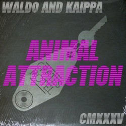 Animal Attraction