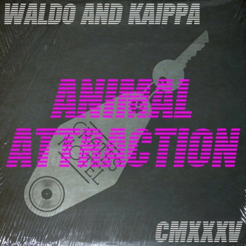 Animal Attraction
