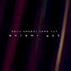Anlamı Yok
