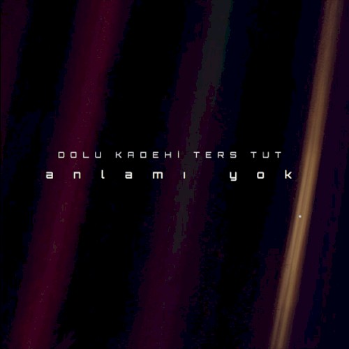 Anlamı Yok