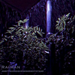 486F792059205369656D707265