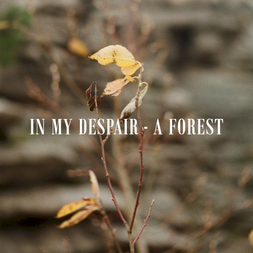 A Forest
