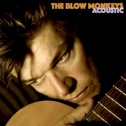 Acoustic Blow Monkeys