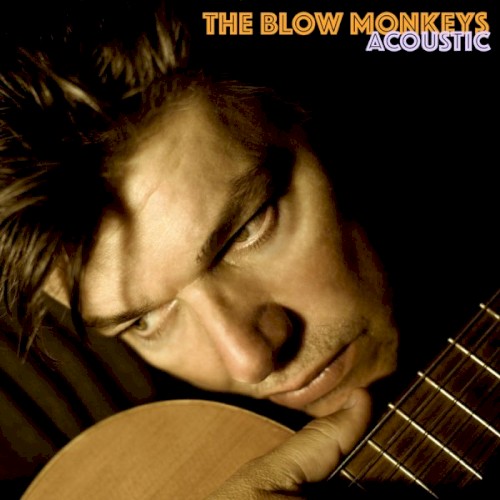 Acoustic Blow Monkeys