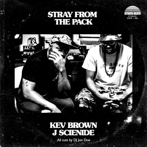 Stray From the Pack
