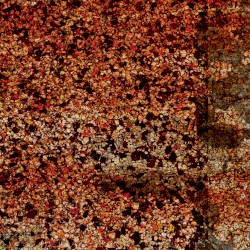 shingles