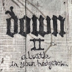 Down II: A Bustle in Your Hedgerow…