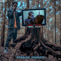 Pannam Pannam