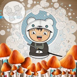 Psilocybin Samurai