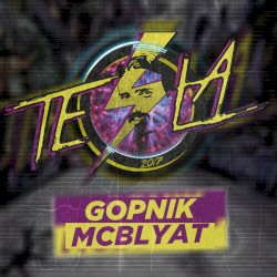 Tesla 2017