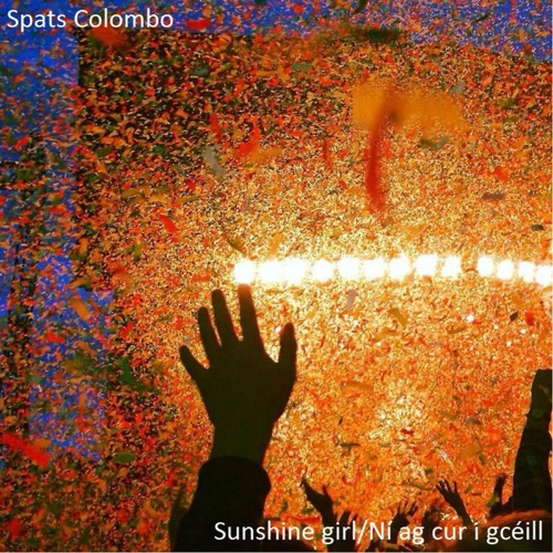 Ní Ag Cur I Gcéill