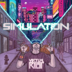 Simulation
