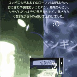 onigiri/おにぎり