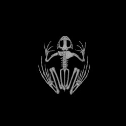 Turn Off the Lights (Topi flip)