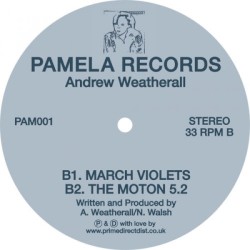 Pamela #1