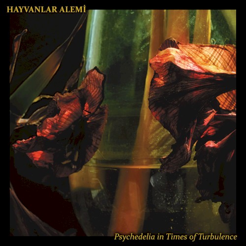 Psychedelia in Times of Turbulence