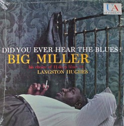 Did You Ever Hear the Blues?
