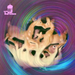 Studio Barnhus Valentine's Day 2020 Compilation