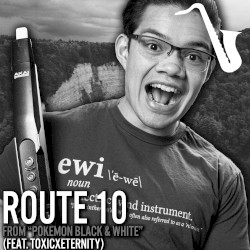 Route 10 (From "Pokémon Black & White")