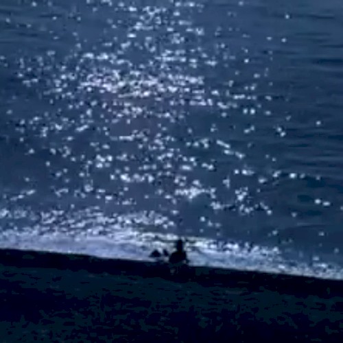 Flood by Boris