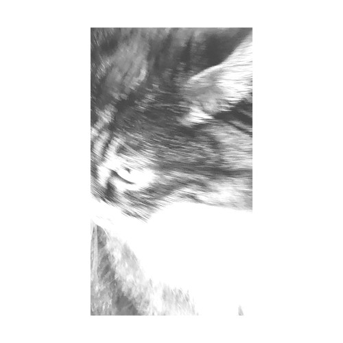 concrete dream