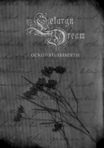 Fragments of Memory