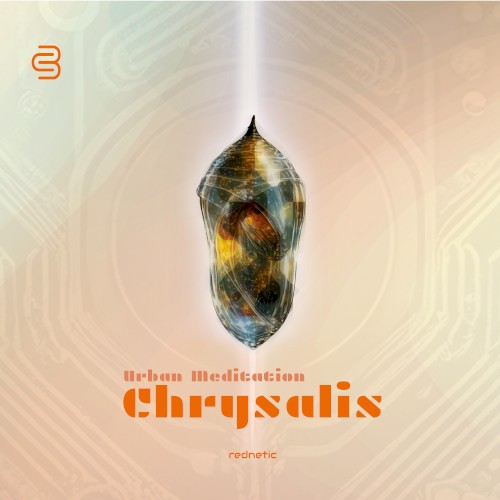 Chrysalis