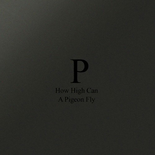 How High Can a Pigeon Fly