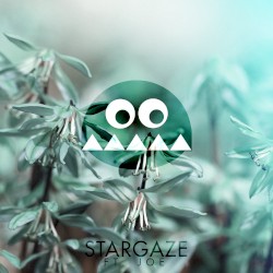 Stargaze