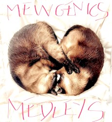 Mewgenics Medleys