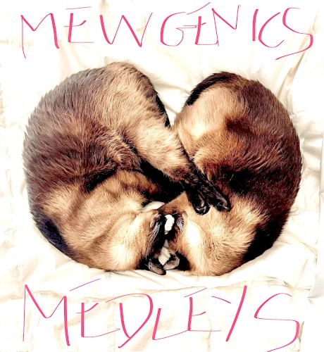 Mewgenics Medleys