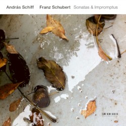 Sonatas & Impromptus
