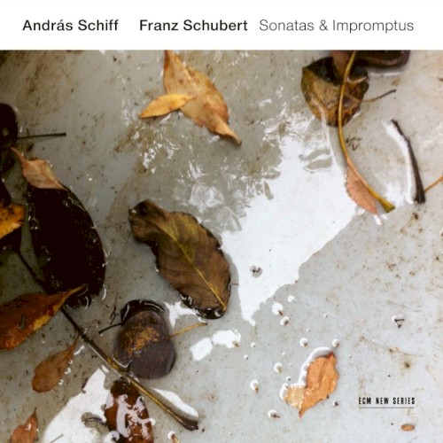 Sonatas & Impromptus