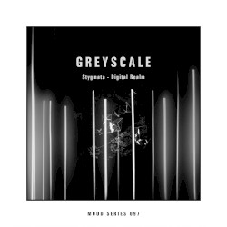 Digital Realm