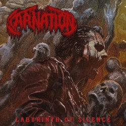 Labyrinth of Silence