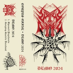Demo 2024