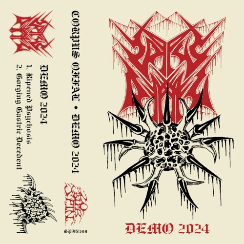 Demo 2024