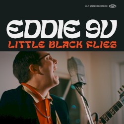 Little Black Flies