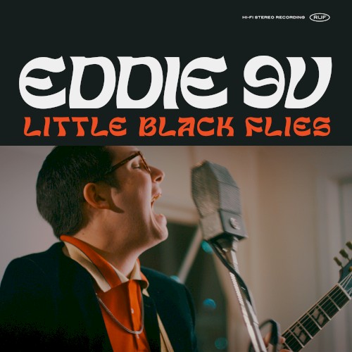 Little Black Flies