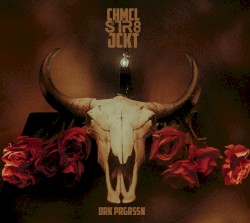 Drk Prgrssn