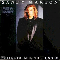 White Storm In The Jungle (Two Special D.J. Versions)