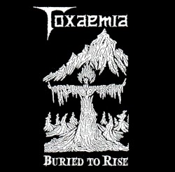 Buried to Rise: 1990–1991 Discography