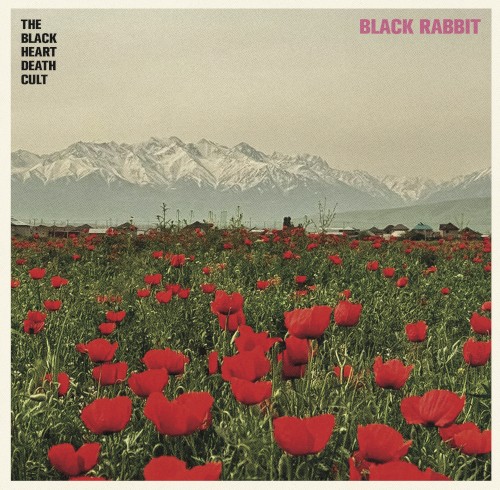 Black Rabbit