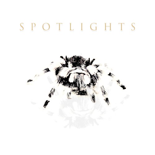 Spiders