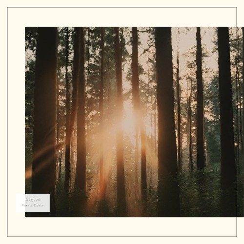 Forest Dance