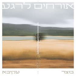 אורחים לרגע
