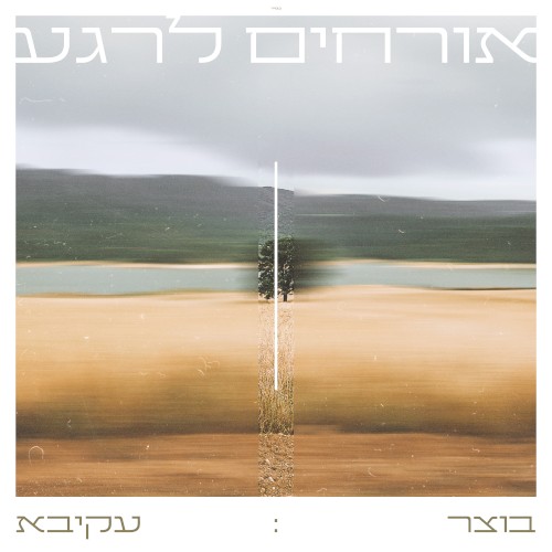 אורחים לרגע