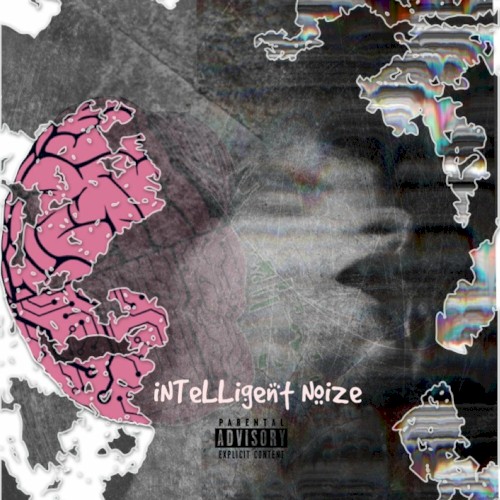 Intelligent Noize
